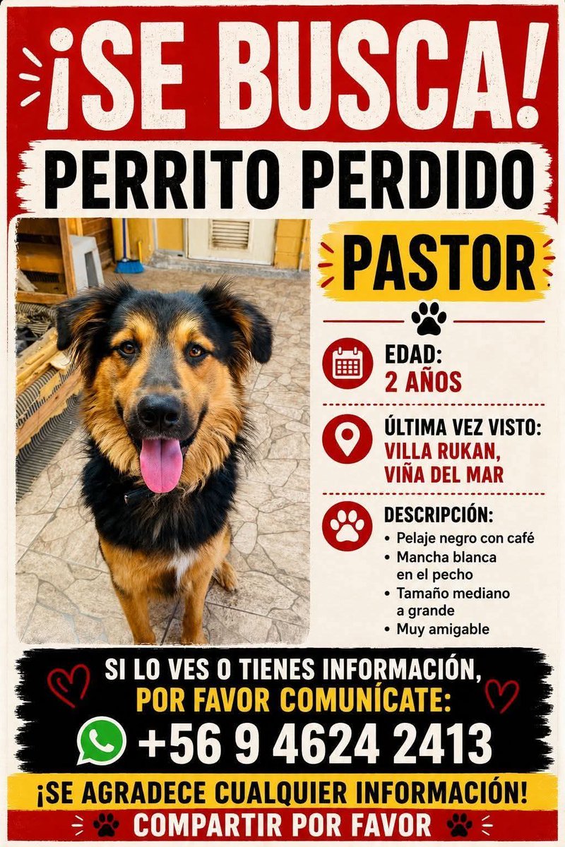 BrendaEtchegar1's tweet photo. VIÑA DEL.MAR, REÑACA ALTO, VILLA RUKAN,  SE BUSCA 56946242413🙏🙏🙏 https://t.co/3Tuk2DGIDq