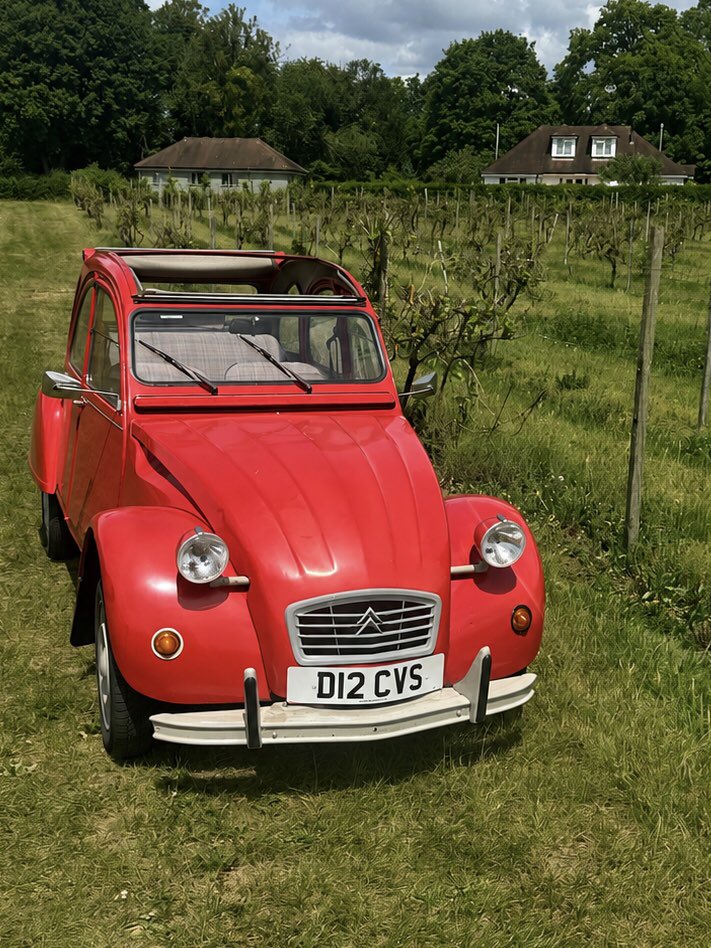 ReigateRich1's tweet photo. You just have to take a #2CV to a vineyard! https://t.co/lUr4R74bRi