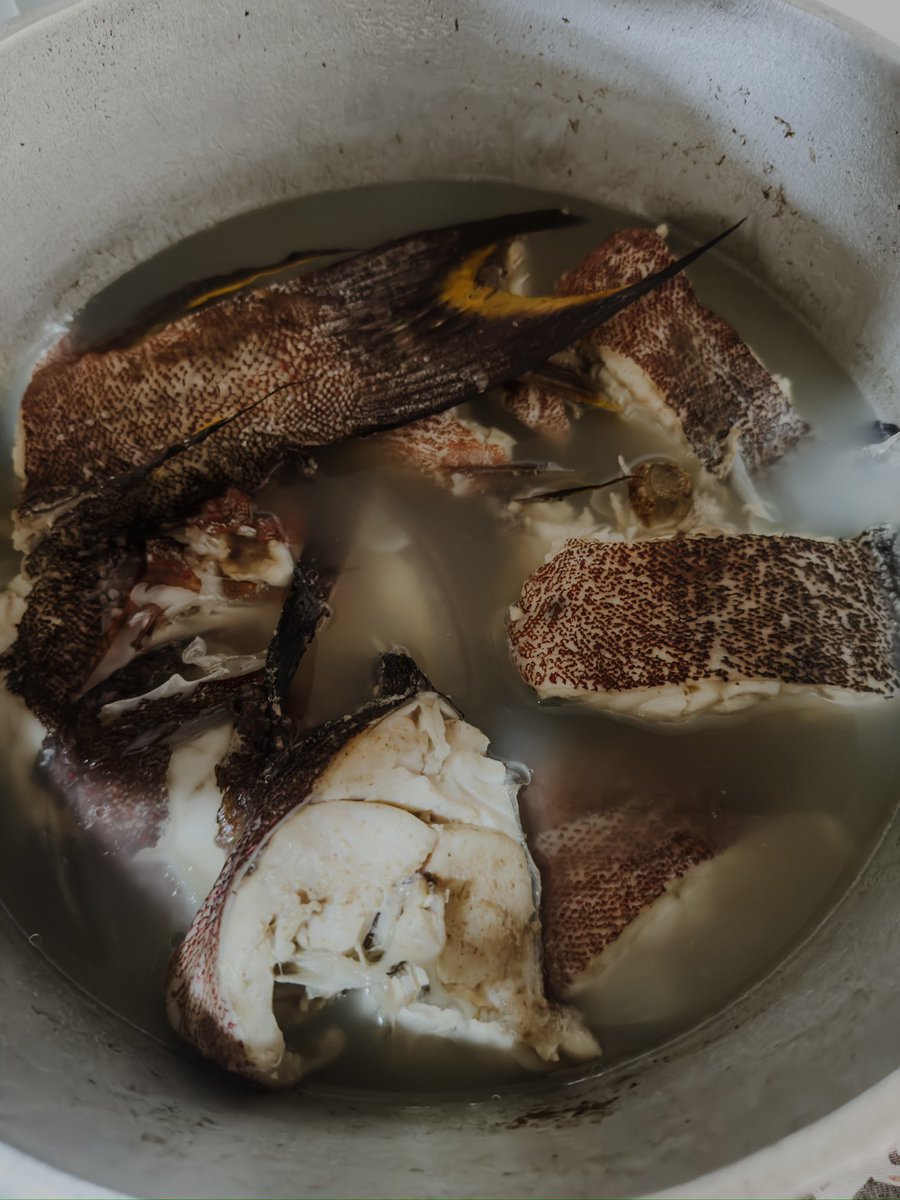 jay_vatuvatu's tweet photo. Yesterday was a fantastic day for enjoying some ocean food. It’s only early morning now, and I can’t help but crave fish again😩 https://t.co/gSNTmy6Nv8