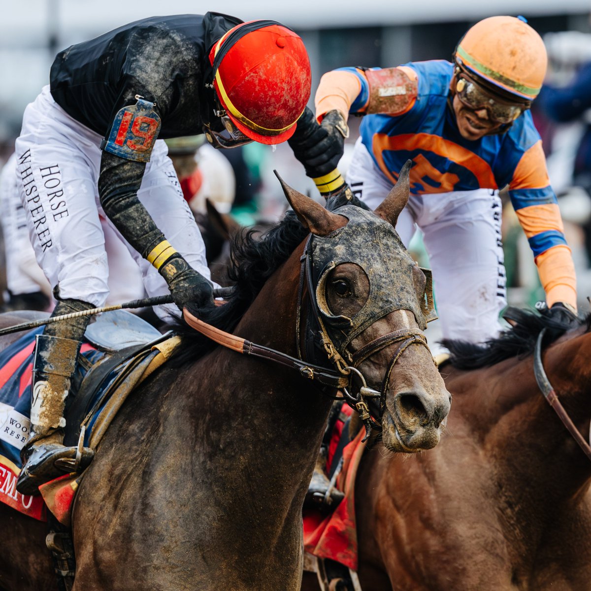 KentuckyDerby's tweet photo. Heading into the Belmont Stakes, the top two finishers from the Kentucky Derby are back for a rematch.

Golden Tempo and Renegade reunite with Jose and Irad Ortiz Jr., setting up another intriguing tactical battle in Saratoga. https://t.co/ZvegKjoPJP