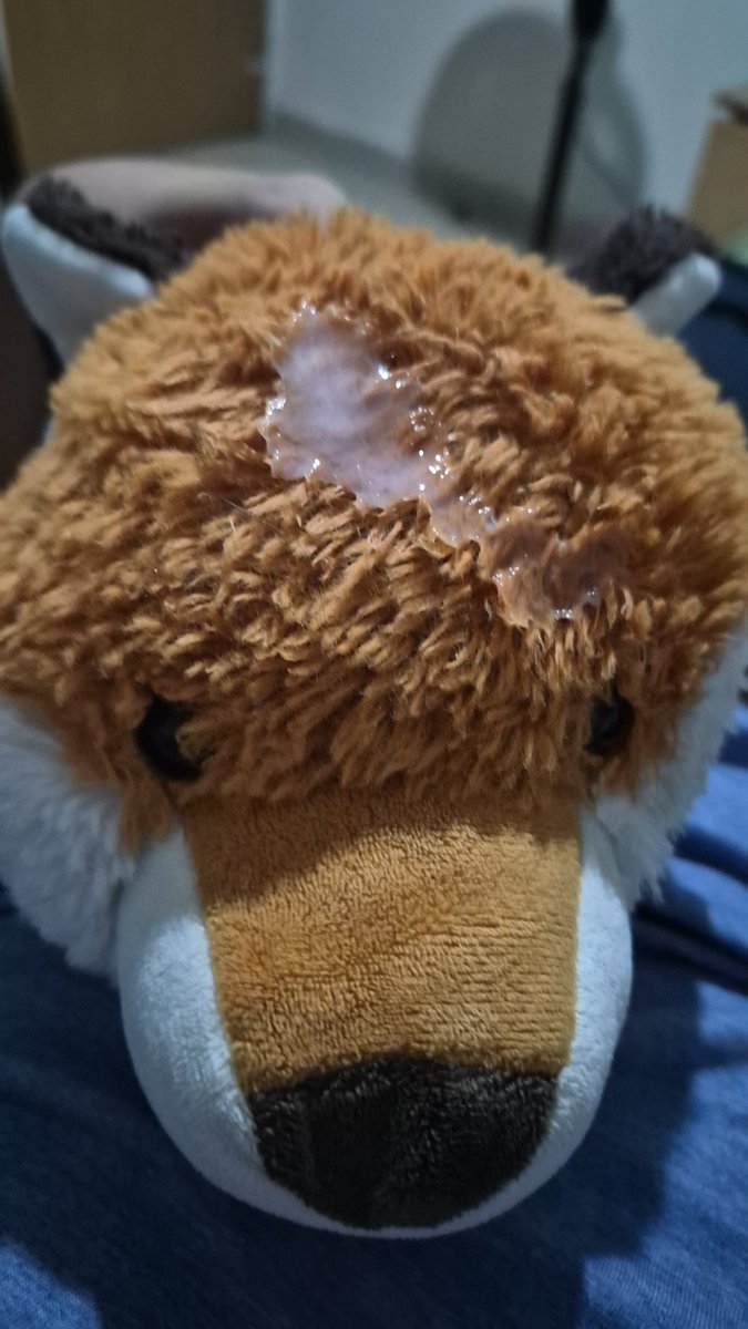 KiranB3rn4's tweet photo. Some pics to keep this account running and full of plushies https://t.co/NvgqvoukHs