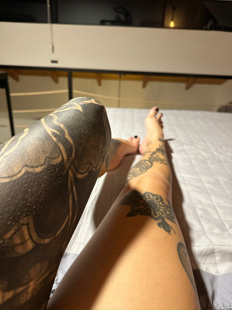 _catink's tweet photo. Kiss it or squeeze it? https://t.co/PoiCX1m6Tl