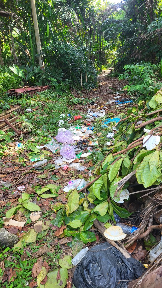 KLMetroscape's tweet photo. Visited Perhentian again after 15 years. The marine life near the beaches has largely disappeared, and rubbish is everywhere.

Heartbreaking to see one of Malaysia's most beautiful islands heading down the same path as many islands in Thailand and Indonesia. https://t.co/CTJZYEXFsz