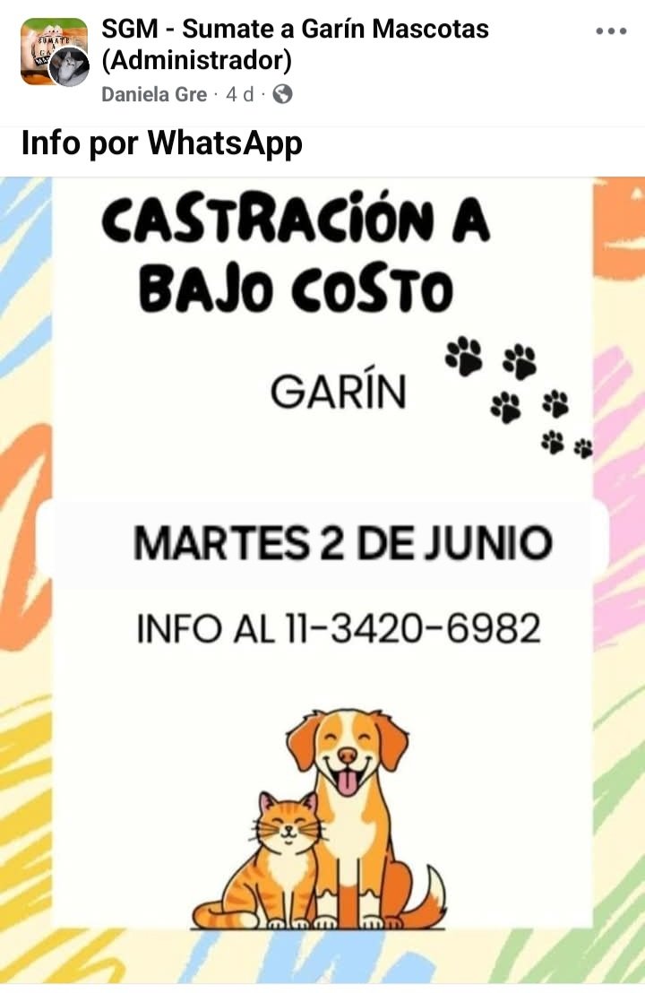 protegealanimal's tweet photo. ESCOBAR 
#ESCOBAR #MASCHWITZ #INGENIEROMASCHWITZ #GARÍN #MATHEU #MAQUINISTASAVIO #SAVIO #24DEFEBRERO #BELÉNDEESCOBAR #LOMAVERDE #ZONANORTE #GRANBSAS #BSAS https://t.co/8LEqhLXRhi
