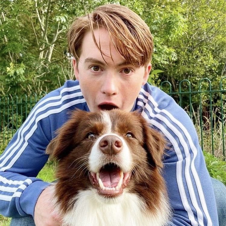 ollieisnauseous's tweet photo. rest easy echo! we’ll miss you, thank you for being our nellie! https://t.co/3uEqOZwfWO