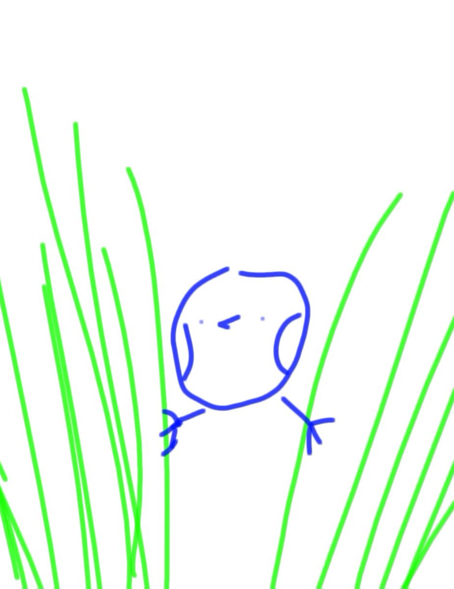faintchirp's tweet photo. Birds when they can just sit down https://t.co/nb13E31oNP