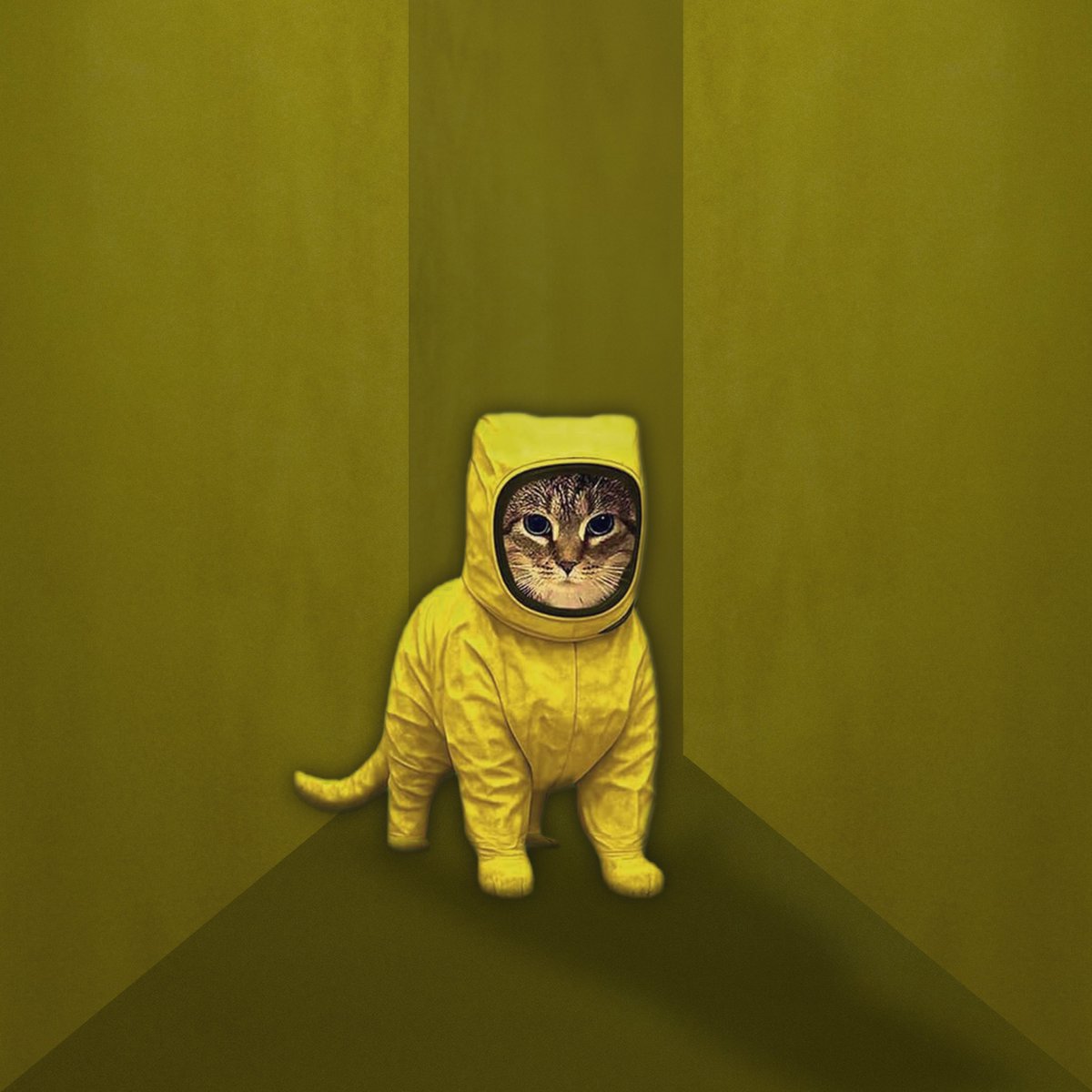 Xx_WiReD_xX's tweet photo. Pspspsps, @CEOAdam #AMC #NotADeadCat 🙀😸 https://t.co/hTauQQo8GI