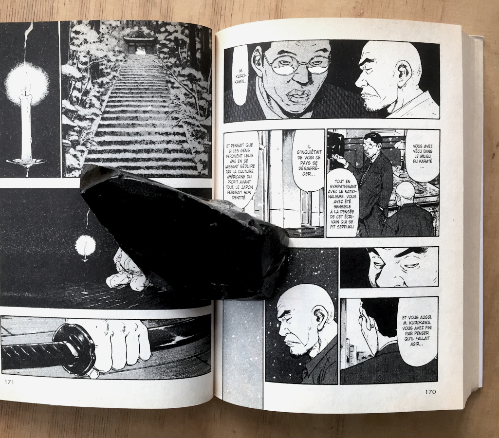 FJSXYZ's tweet photo. If you read manga you will sooner or later run into #Mishima. In #Shamo by Tanaka/Hashimoto a main protagonist copycats Iinuma's assault of Kurahara (Runaway Horses, Sea of Fertility). https://t.co/QwrAJbJCPg