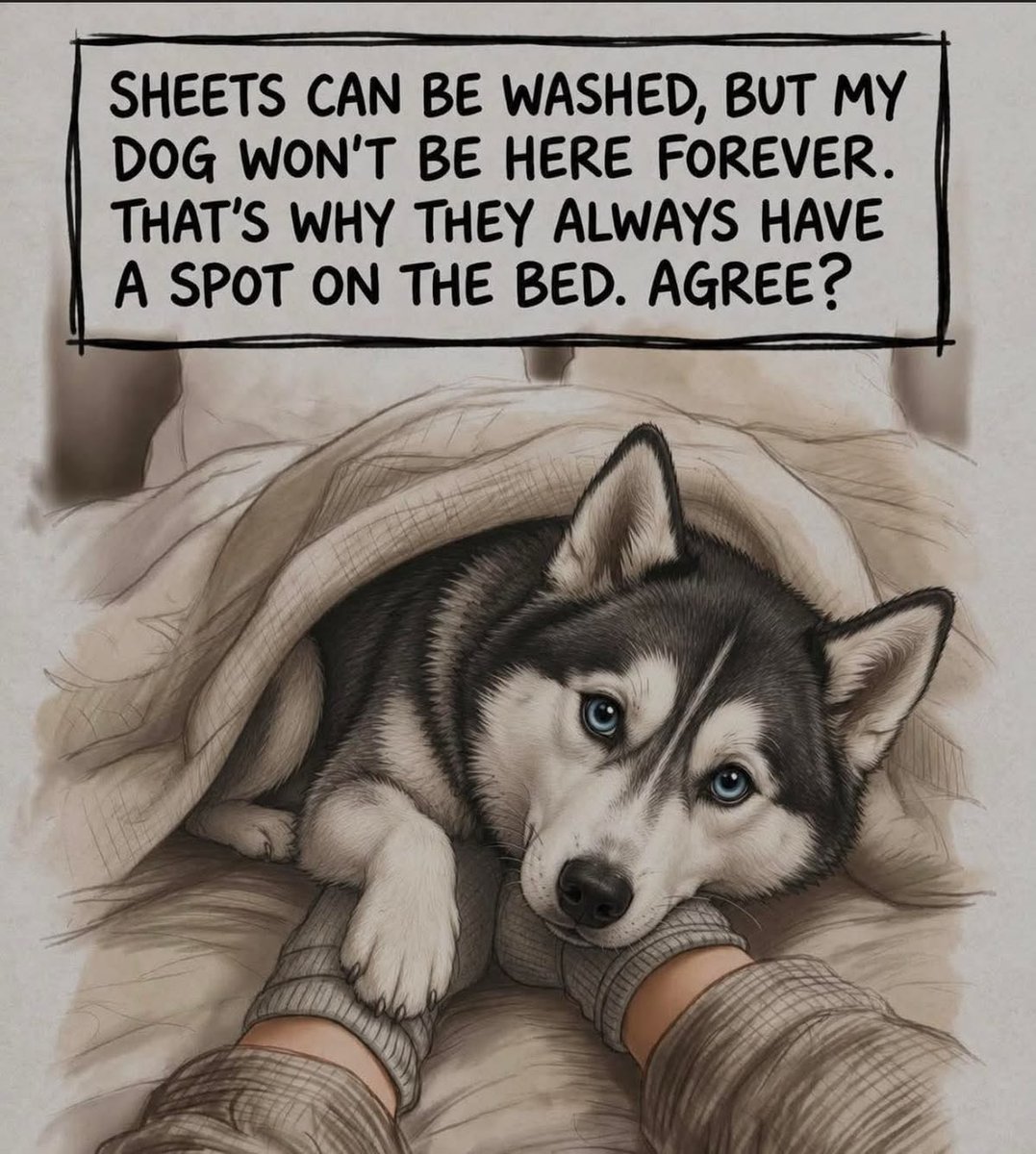 DogLovers03's tweet photo. https://t.co/d4vmmdNjcY