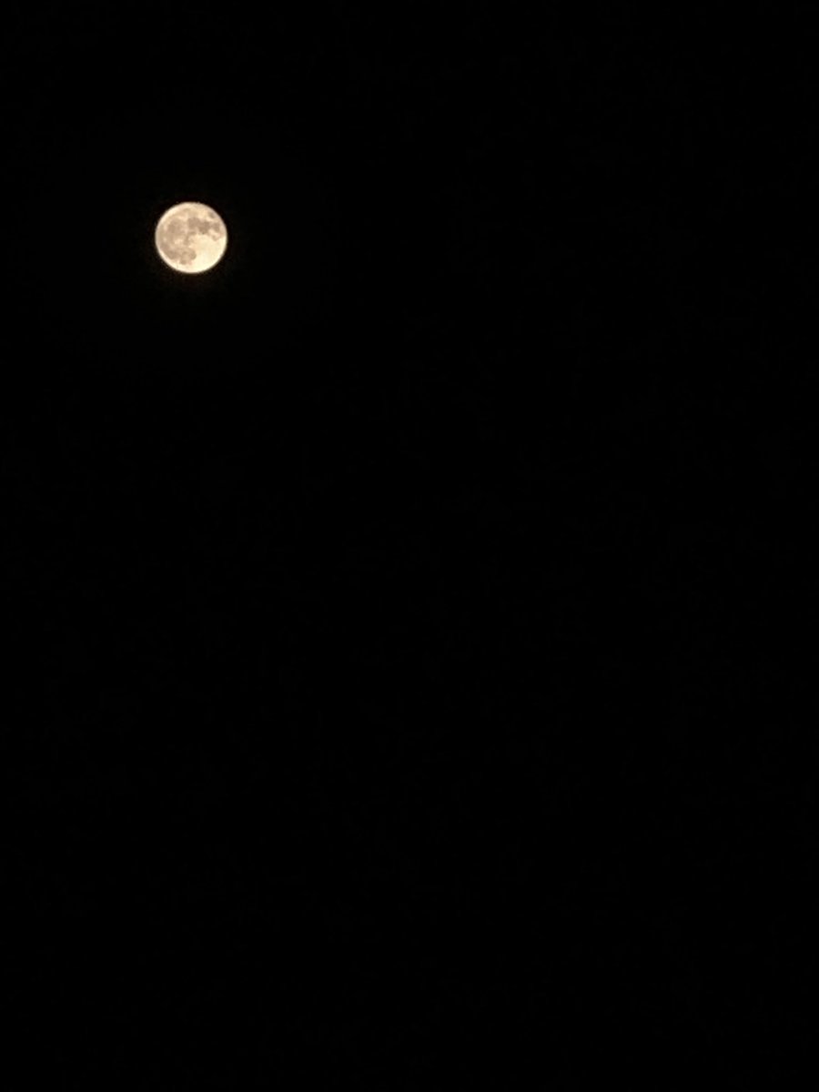 mar8str's tweet photo. Today’s moon 
31.05.2026 🩵 https://t.co/IvOXVsdboK