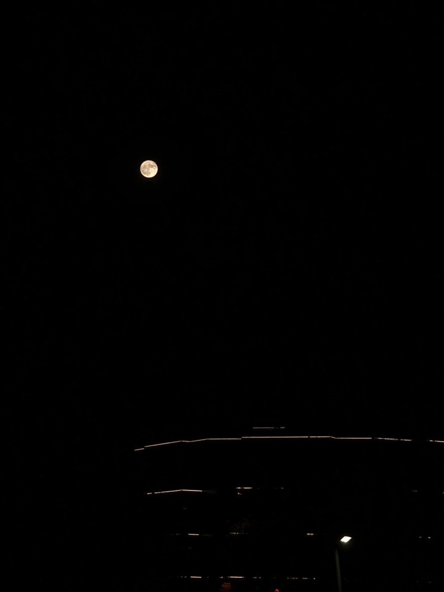 mar8str's tweet photo. Today’s moon 
31.05.2026 🩵 https://t.co/IvOXVsdboK