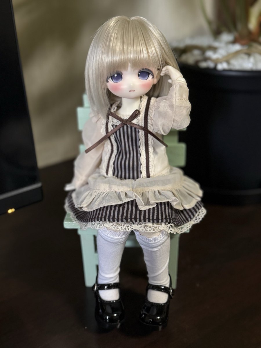 ドール