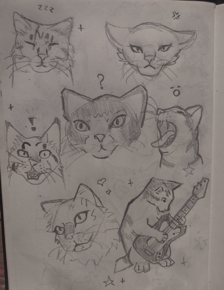 iurikk's tweet photo. Até ia estudar mas eu preferi desenhar essa ruma de gato https://t.co/Ur5dJoL366