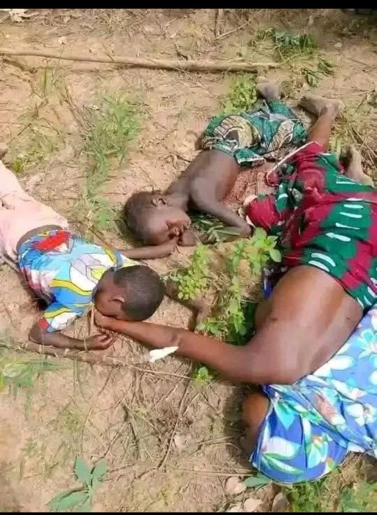 HighChiefOkoro's tweet photo. WARNING: Graphic Images 

Children, Women and Men slaughtered in Imo State last night by IPOB terrorists.

Peter Obi and his influencers will not talk about the innocent Igbo people that were killed in this gruesome attack. https://t.co/Ial6ZEpxH7
