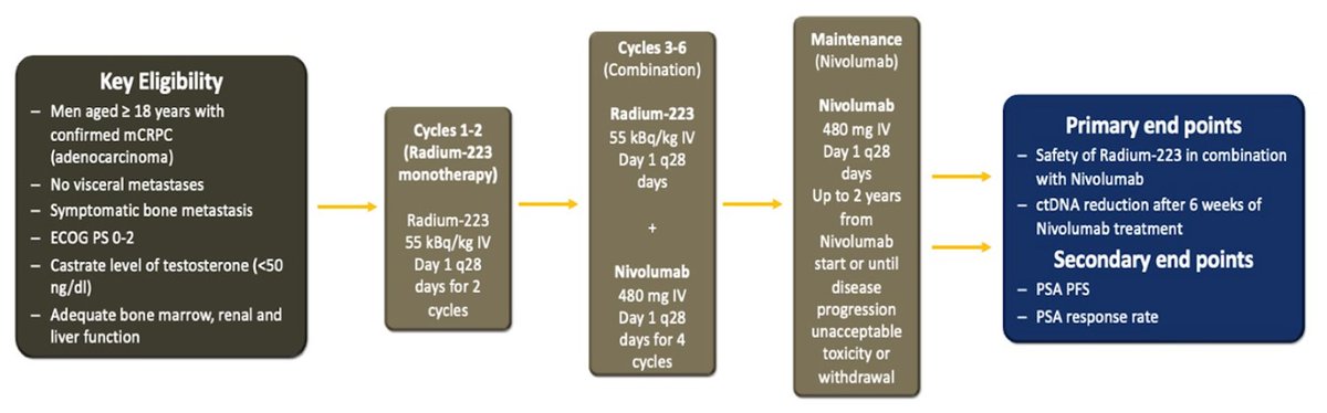 zklaassen_md's tweet photo. Rad2Nivo: Phase Ib study of Ra-223 with Nivo in mCRPC @urotoday #ASCO26 @ggebraelmd @neerajaiims @maughanonc 

🌟n=35
🌟Gr 3-5 TEAEs: 38%
🌟VAF reduction: 15/25 (60%)
🌟Median PSA PFS: 3.15 mos (95% CI 2.79-4.70) https://t.co/qlJ9sNC3Rs