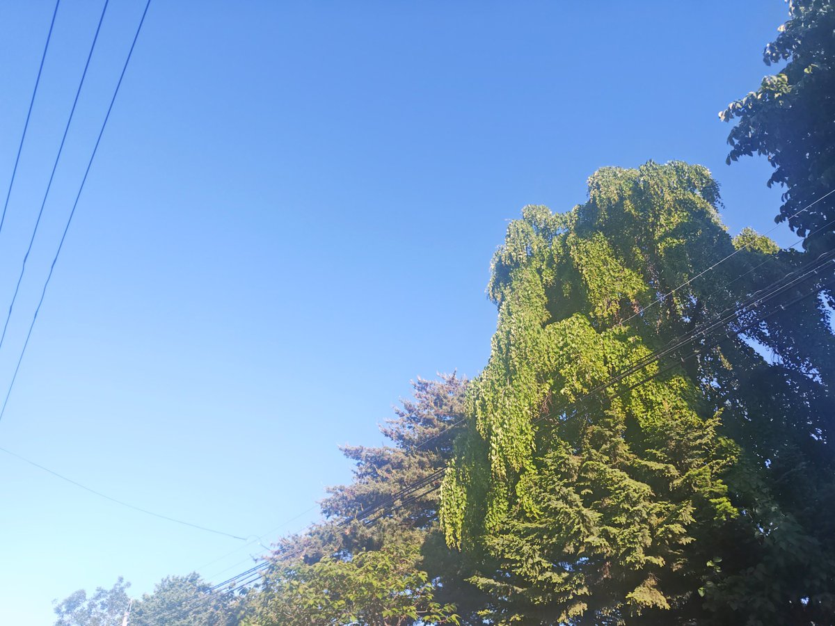 今日から6月。 青空から始まって気分がいいよ。元気に行ってきまーす