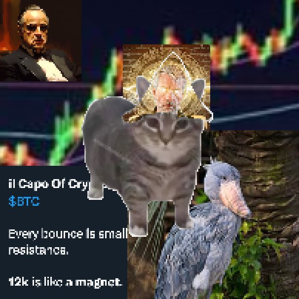 psyopcatpump's tweet photo. I (Moonshot_Matt) officially aquired this twitter account, and i will be CTOing psyopcat.

Psyopcat: The Best Coin That Never Ran

Memecoins have turned into 24-hour attention cycles.

Every day a new narrative launches, pumps, and dies. But the biggest memes have always been simple, recognizable, and already part of internet culture.

Doge. Pepe. Wojak. Psyopcat.

Everyone knows the cat. Elon posted the template years ago, Alon has talked about wanting a cat runner, and Mert has shilled the meme.

Yet Psyopcat never had its real moment.

In a market tired of forgettable AI slop, Psyopcat has what most coins are missing: history, recognition, and a meme people already understand.

Maybe Psyopcat is the best coin that never ran.

Community: https://t.co/NSa8B7W1ix