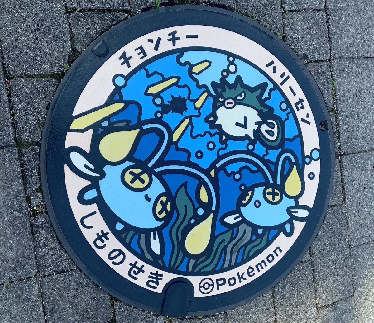 roshe_p's tweet photo. 巌流島でポケふたゲットだぜっ！！ https://t.co/Ncwvhqnek4