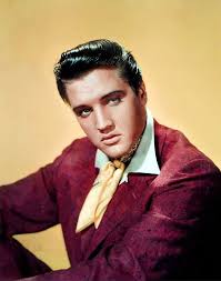 JS57128012's tweet photo. @VivekGRamaswamy What'd with the hair Elvis ? https://t.co/q5DGxhMcDV