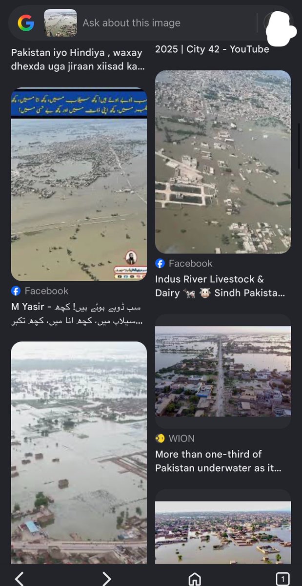 Mohammed | مُحَمَّدٌ tweet media
