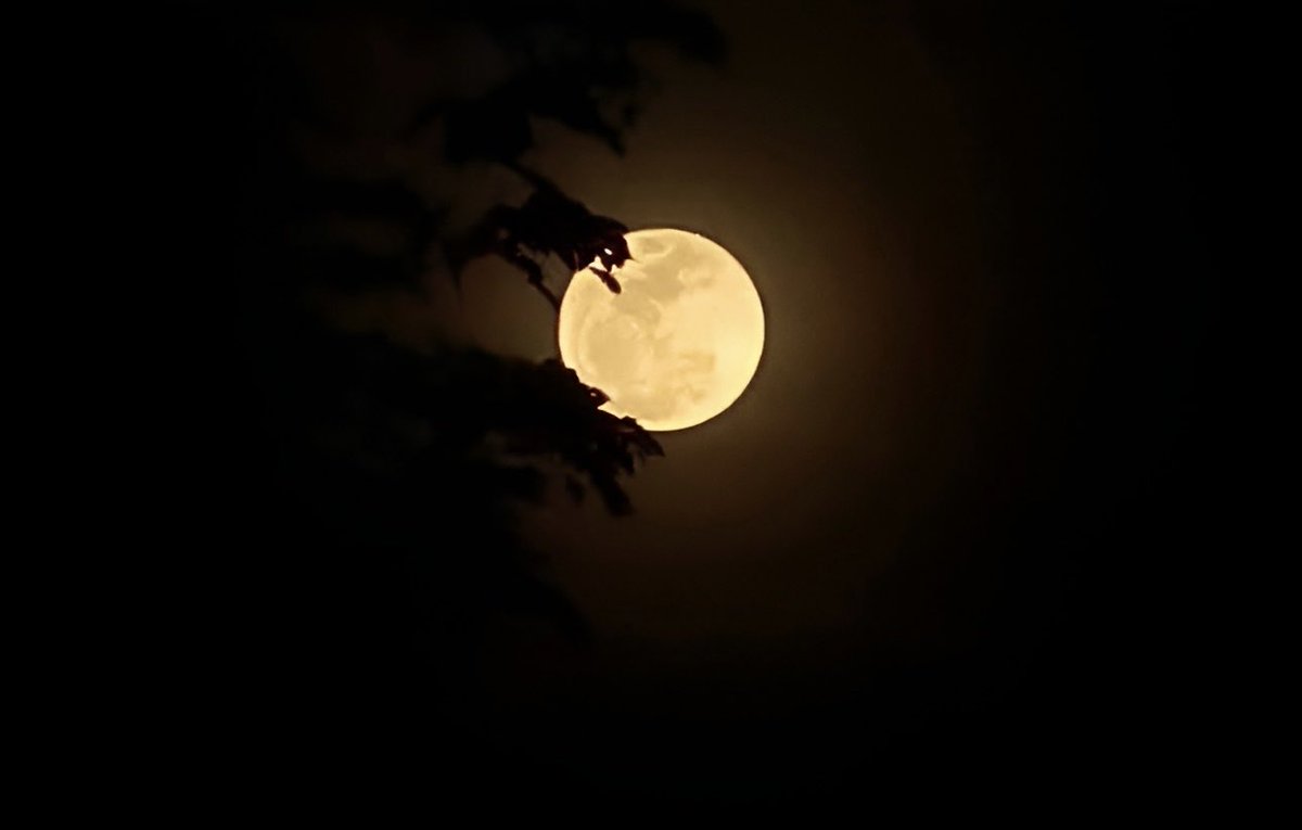 EmranEmonWriter's tweet photo. What a breathtaking Blue Moon shines in tonight’s sky!

The very enchantment I feel whenever I behold you washed over me as I looked at the moon. It seemed as if I were seeing you—transformed into a hundred forms, revealed a hundred times, yet no less captivating each time. https://t.co/KLvAscF3CJ