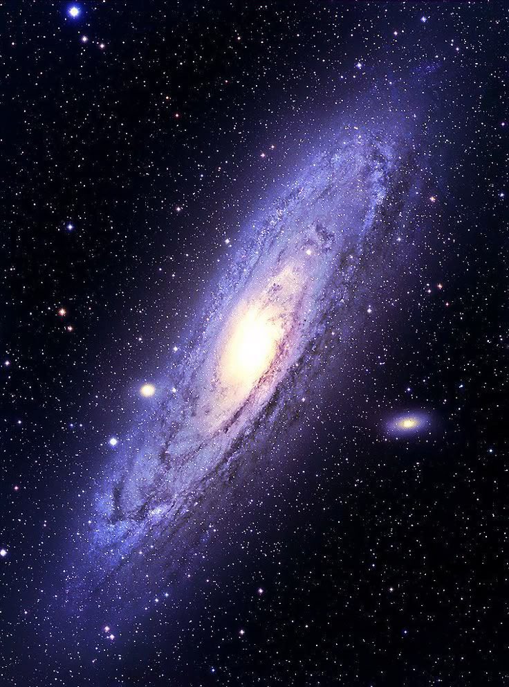 cosmic_nature's tweet photo. A beautiful view of Andromeda Galaxy ✨ https://t.co/X7K2Mbgv8E