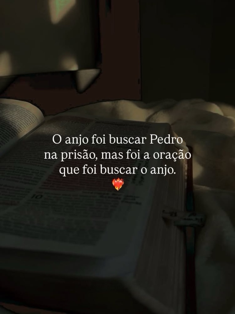 JesusCristoRe1's tweet photo. https://t.co/owKVRaug9U