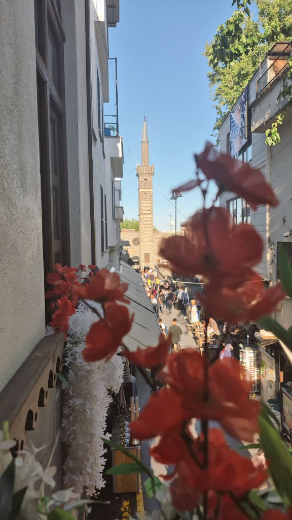 1Fatmacee's tweet photo. Diyarbakır seninle güzelleşti🫠🫂🫶🏻🤍🌸🍀 @dilara_layda https://t.co/n4flaB5qaz
