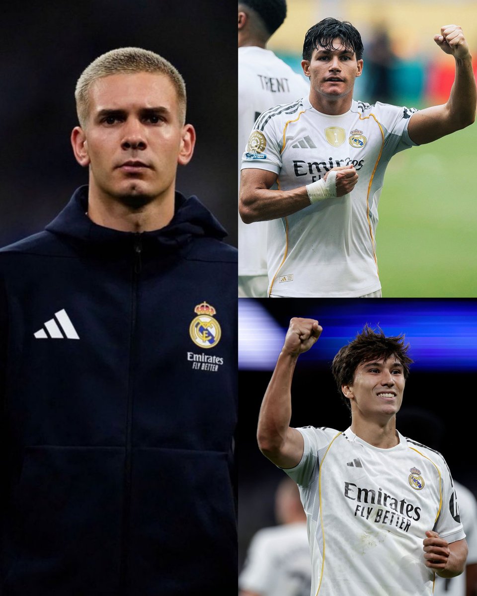 AdriRM33's tweet photo. 🚨 Gonzalo, Fran García y Franco Mastantuono HAN ACEPTADO irse tras acabar la temporada.

Se IRÁN del REAL MADRID este VERANO.

{ @latigoserrano } https://t.co/i9xd4JQ9ED