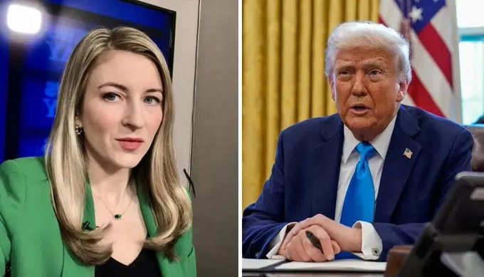 Damaan4u33's tweet photo. The first reporter who fires back at Trump’s “You’re a terrible reporter” with “You’re a terrible president” deserves a Pulitzer on the spot.  

Raise your hand if you agree. ✋ https://t.co/vP0KwjXSjK