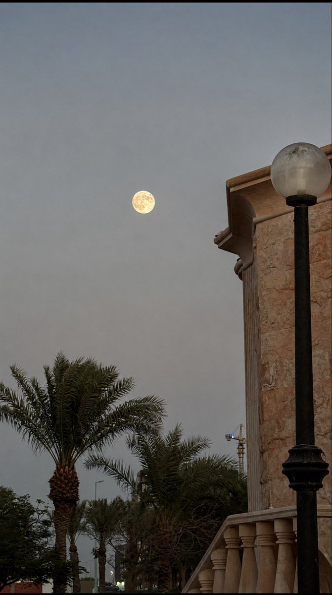 2omaz's tweet photo. 🌑✨🌟 https://t.co/z5hSNF8sn4