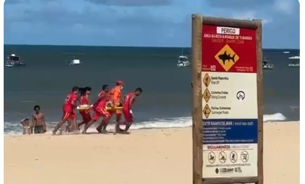 FuriaMarcus's tweet photo. Infelizmente mais um ataque de tubarão hj (domingo) na Região Met. Do Recife na praia de Piedade. Uma criança (menino) de 11 anos foi mordido no quadril e na mão, foi socorrido prontamente e encaminhado ao PS .Não há atualização sobre o estado de saúde, mas chegou estável. 🚫🦈 https://t.co/2tUos1JsiP