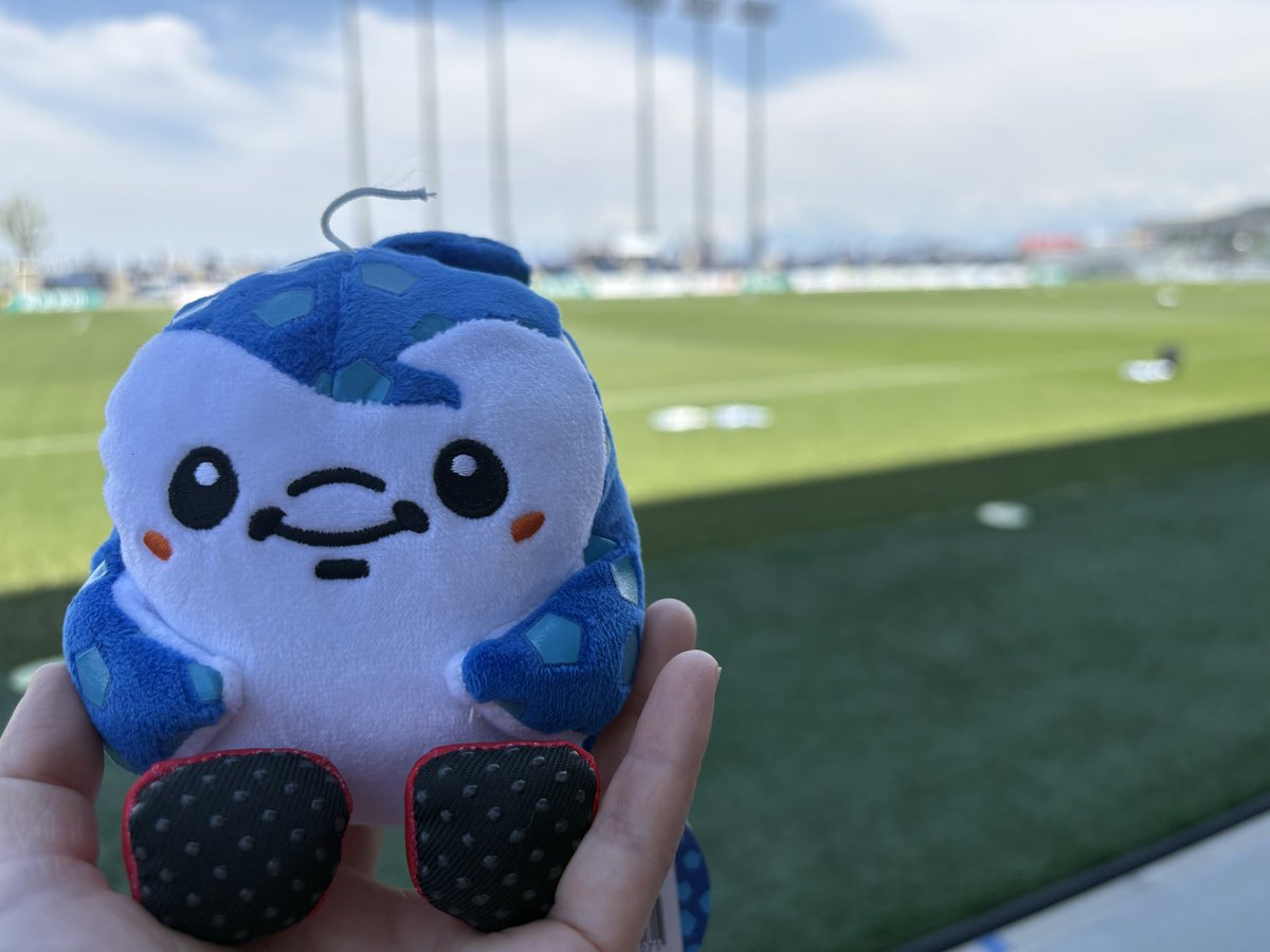 ehime_toco's tweet photo. 昨日の里山スタジアム

カラスが座席に置いている
食べ物を狙ってます
ってアナウンス

もしかして
うちのジンベーニョが
食べ物に見えましたか？笑

焼豚玉子飯を買って戻ると
頭の紐がちぎれてた

あ、波平になっとる( ꒪ͧ△꒪ͧ )

波平ジンベーニョが
爆誕してました！！笑

#FC琉球
#ジンベーニョ https://t.co/zEdZKQxQ5Z