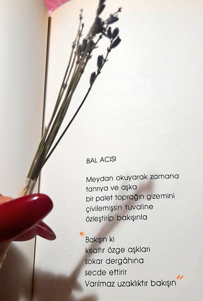 Fatoş Sünbül 🪻 tweet media
