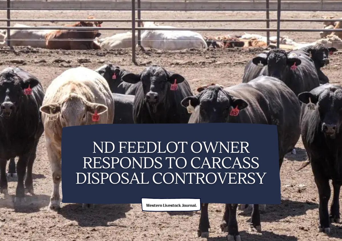 wljnet's tweet photo. A North Dakota feedlot owner is disputing allegations tied to cattle carcass disposal on his operation, arguing the controversy stems from misconduct by a former employee. Get the details at https://t.co/7t7Bb6TuAK. https://t.co/grJLsDihff