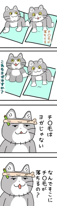 どうしてですかね 