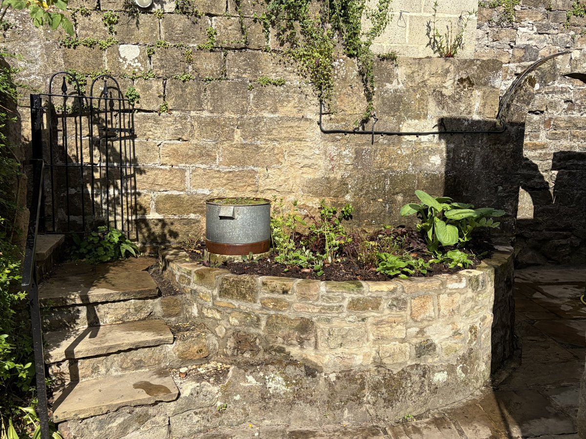 Snowdropman's tweet photo. One of the half term projects was to lift this small raised bed and re-plant. The steps are still to finish, but mostly done. Always good to have a new bed to plant. #fairviewyearround https://t.co/UJMesjsZ9e