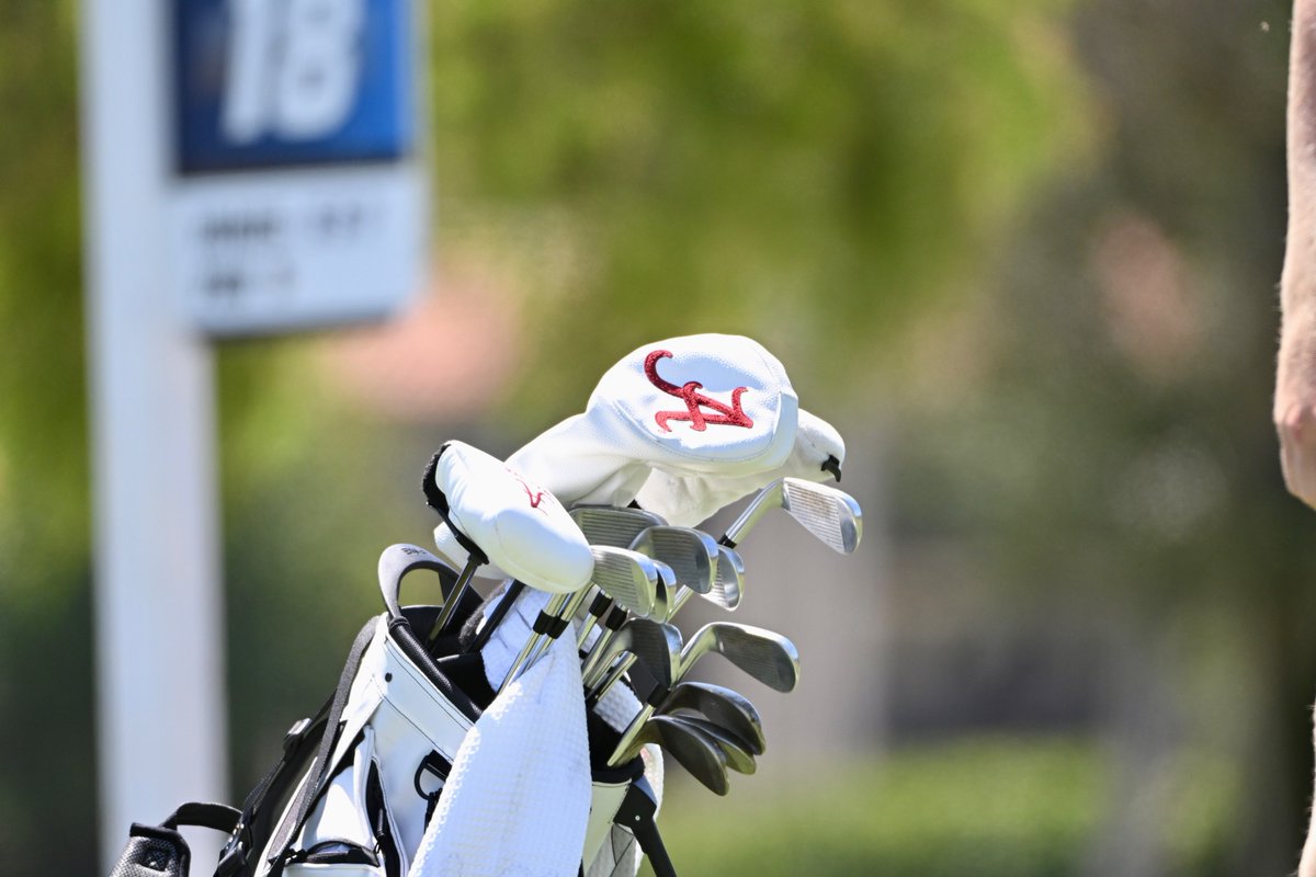 AlabamaMGolf's tweet photo. William goes 2-under par today. He's at 10-under 206 and currently in a three-way tie for second place just a stroke behind the clubhouse leader.

The final round of NCAA Championship stroke play will tee off Monday. 

🔗 https://t.co/mzXqAQPbHc https://t.co/o1SmNdFUyl