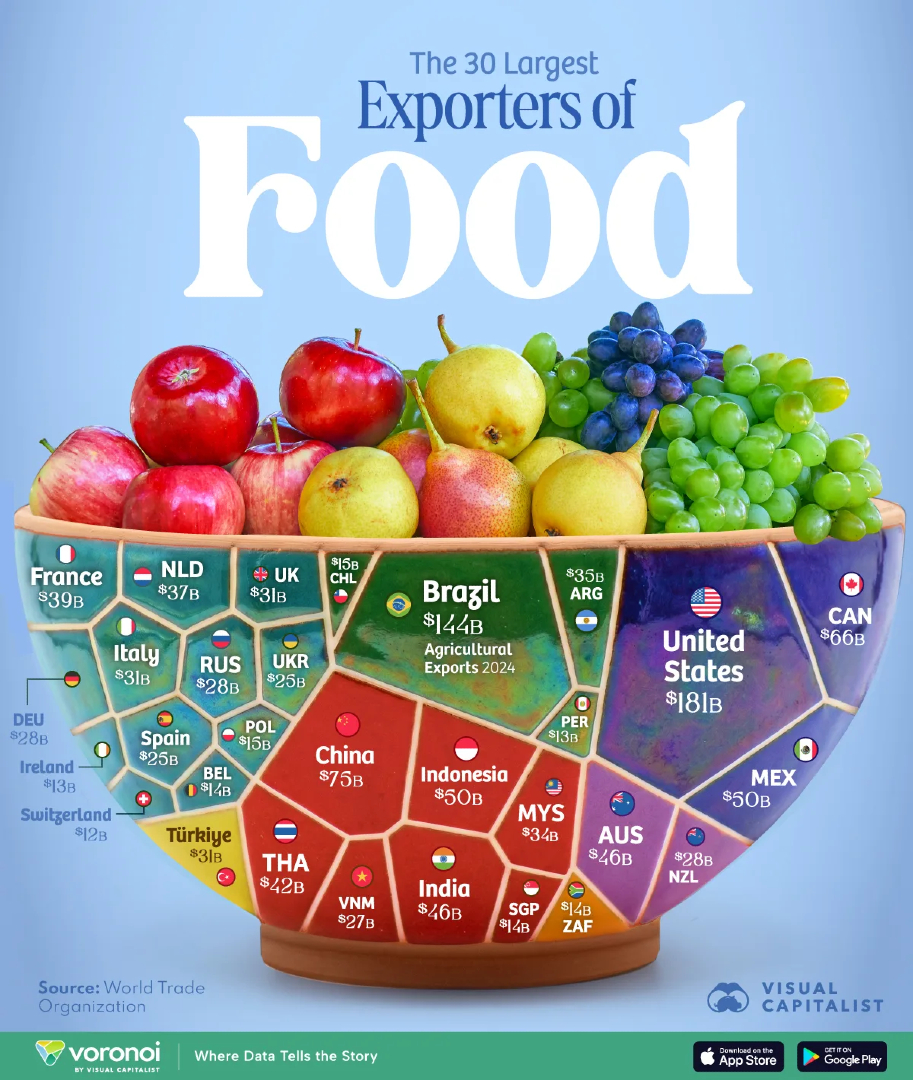 VisualCap's tweet photo. Ranked: The Countries That Feed the World 🍇

https://t.co/uIgy1Trc5l https://t.co/1FUt3fyzJt