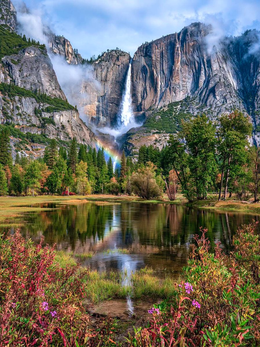 DNatives67667's tweet photo. Yosemite national park in California 🇺🇲 https://t.co/ToApyUh0J3