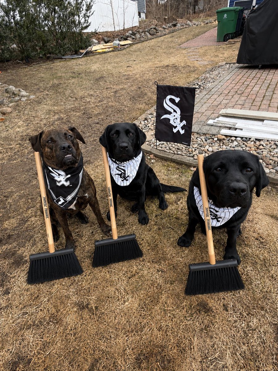 fourmeows's tweet photo. The #WhiteSox SWEEP 🧹 the Tigers!! ⚾️🖤🤍🖤🤍 #rileywillowmollie #baseball #pittiemix #blacklabs #sundayfun https://t.co/8Avxvay2Mg