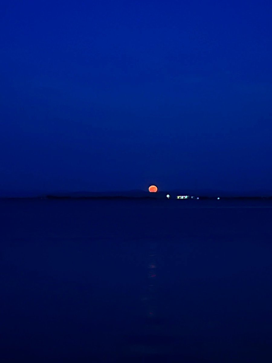 gio_post's tweet photo. Il blu, la luna, la laguna. Blu.
#arte #poesia #astronomia #perònonzoomate https://t.co/kZO9PnNdfx