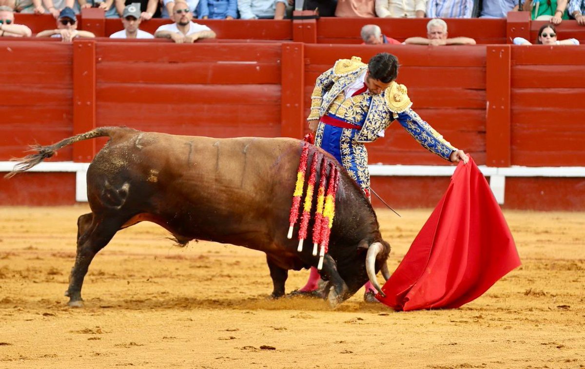 ElMundoToros's tweet photo. Pablo Aguado resucita deslumbrante bajo la rotundidad cegadora de Morante en Aranjuez, por @zabaladelaserna https://t.co/11zXGa11lM Fotos: Emilio Méndez https://t.co/UQdVMbX053