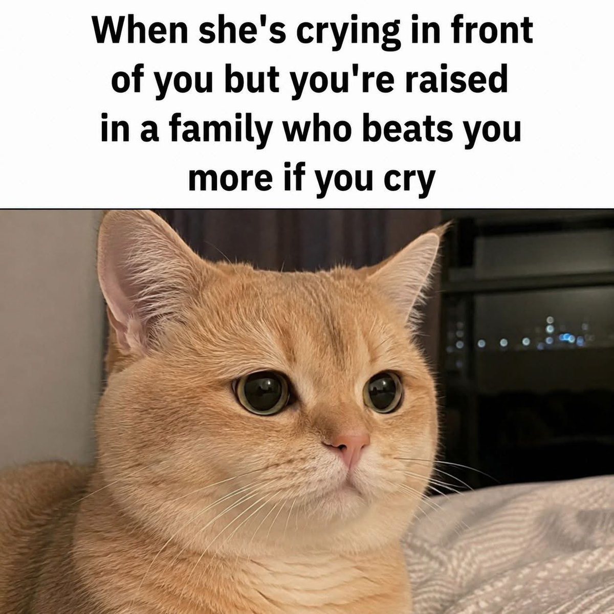 stupidmemes.com tweet media