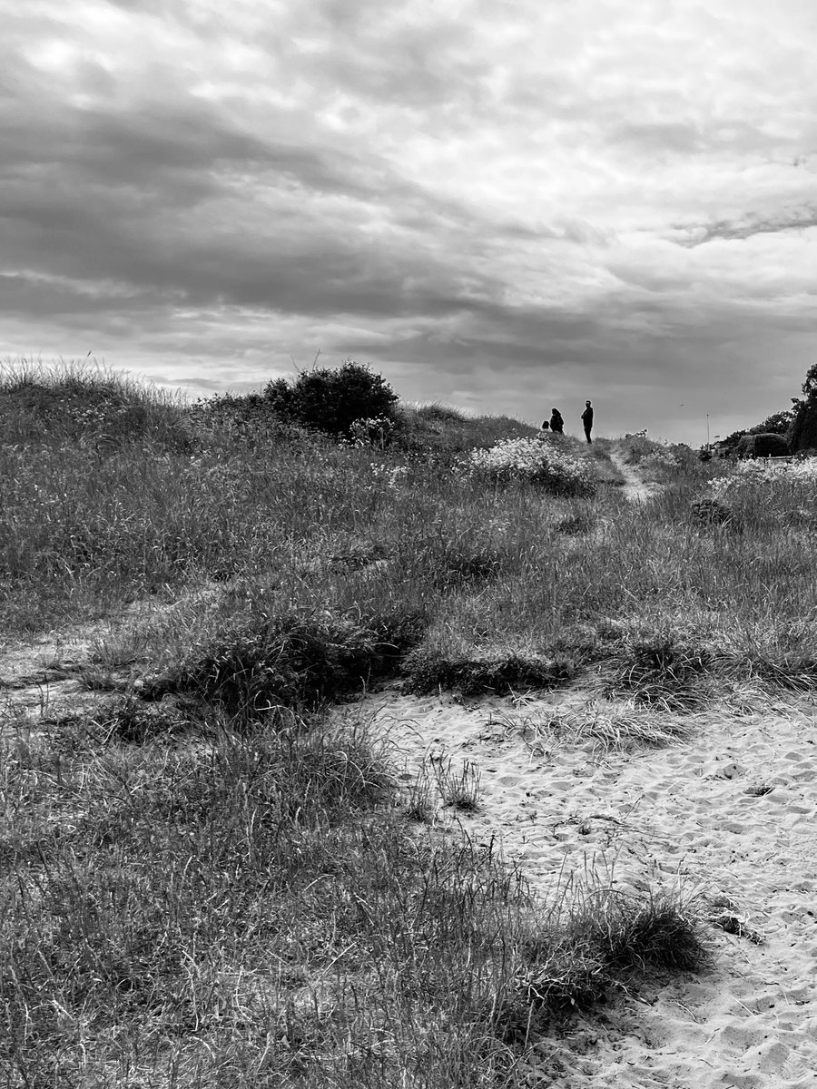 RichMonochrome's tweet photo. Over the Sand Dunes #lytham #documentingbritain #photography #blackandwhite #monochrome https://t.co/Z2LlUqmrVn