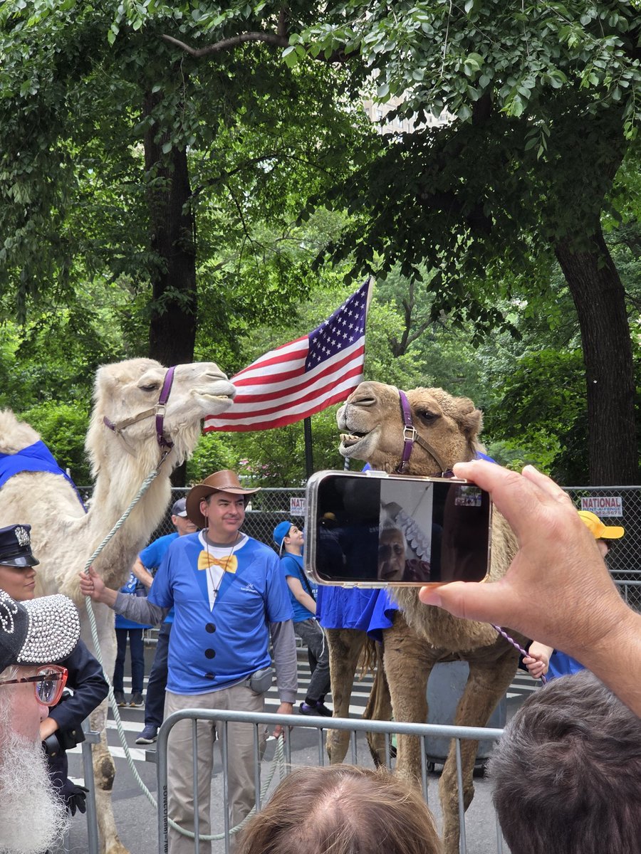 JacobDrinksWatr's tweet photo. @ZadeSmith4 @RealCandaceO They were all over the place. https://t.co/oiXaistPKR
