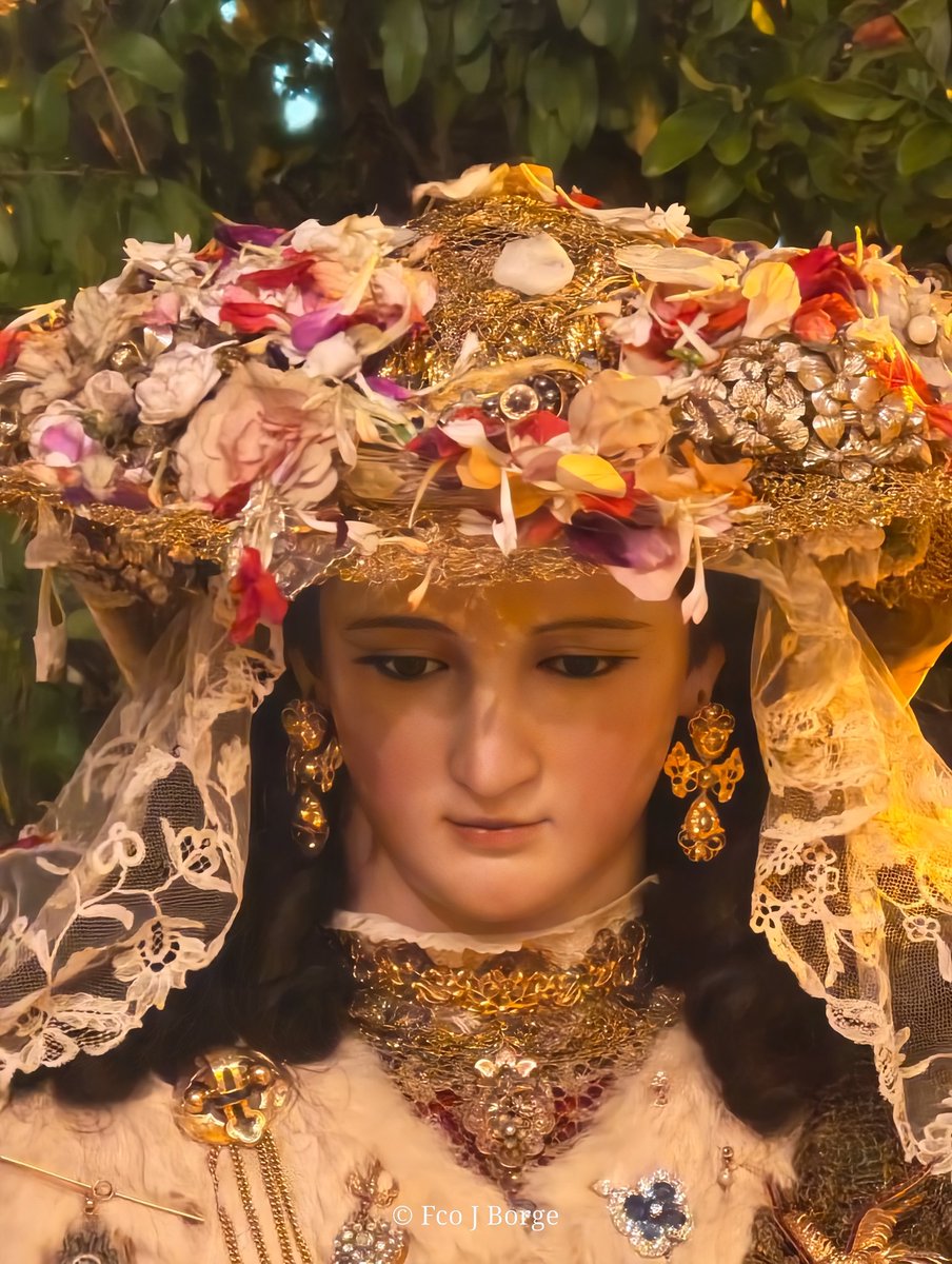 fcojborge's tweet photo. Bellísima la Pastora entre pétalos a su paso por Antonio Machín
@PastoraCapu
#Pastora #Capuchinos #Sevilla https://t.co/ExxJWksOkt