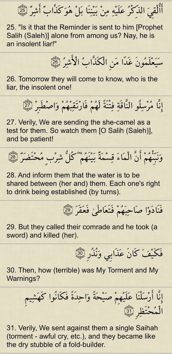 SHEHRI303's tweet photo. As Australia culls camels over water concerns, it is worth reflecting on the story of Prophet Salih (peace be upon him) and the people of Thamud. The Qur’an reminds us that injustice and arrogance toward God’s creation have consequences. Wisdom, mercy, and stewardship should guide our actions. #Quran #ProphetSalih #Environment