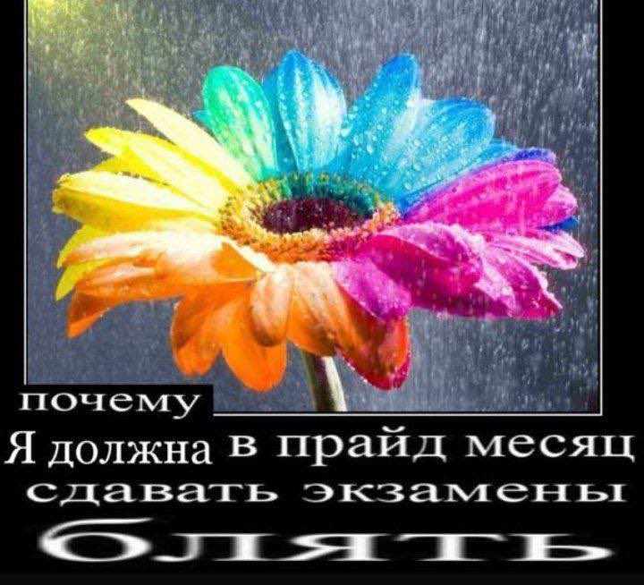 mo2esrebetfu2's tweet photo. по традиции https://t.co/etwxQaPIwA