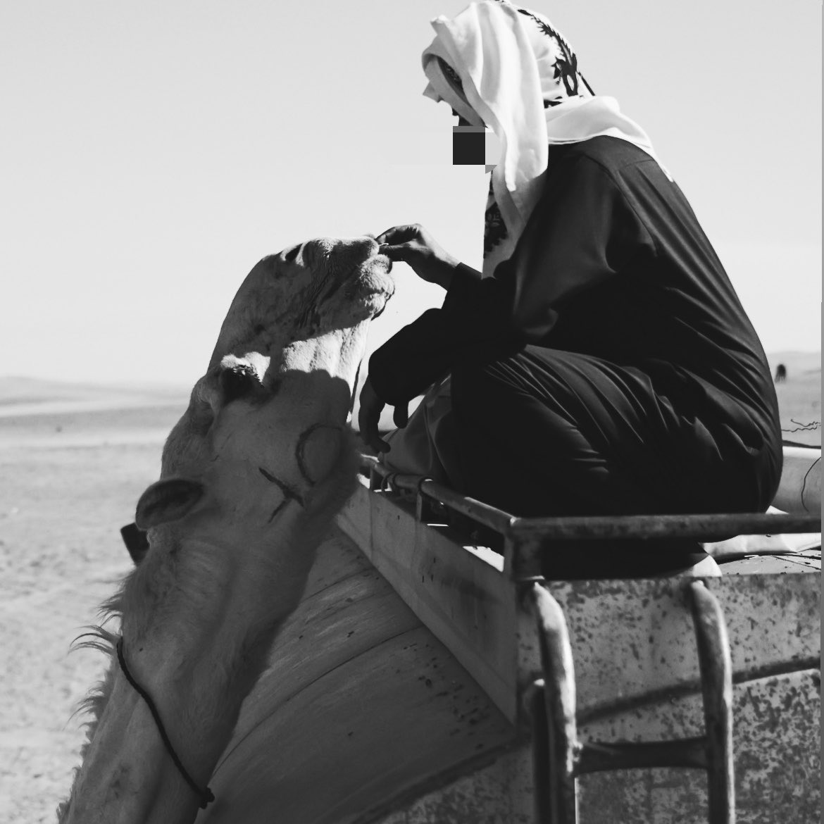 r8_c11's tweet photo. مدري ويش علام قلبي من تالي
صايرن خضر وينفتن من الغنادير

لااحد تغلبه نيته ويجري ورا حالي
اقصدلي بكره من بكاري المغاتير https://t.co/W6YyRgUeOh
